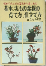 花木、実もの盆栽の  育て方、仕立て方