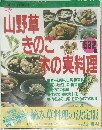 山野草きのこ木の実料理