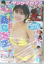 週刊ヤングマガジン　No.6