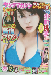 ヤングマガジン　２００６年５月２２日号　No.23