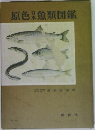 原色日本魚類図鑑　
