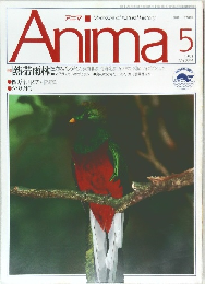 Anima 1999年5号