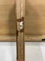 頼山陽先生手簡
