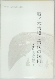 藤ノ木古墳と古代の河内