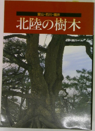 富山・石川・福井  北陸の樹木