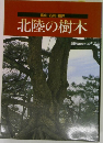 富山・石川・福井  北陸の樹木