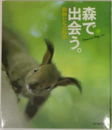 森で出会う。　動物たちの四季