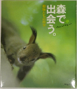 森で出会う。　動物たちの四季