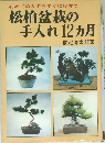 松柏盆栽の手入れ12ヵ月
