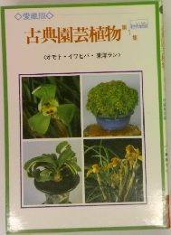 古典園芸植物 1