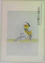 京都の野鳥