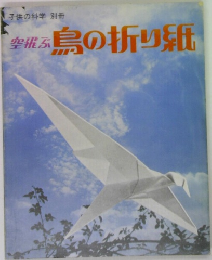 島の折り紙