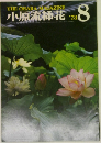 小原流挿花　1978年8月号