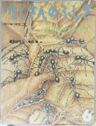 たくさんんのふしぎ　2007年6月号