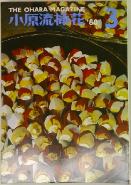 小原流楠花　1980年3月号