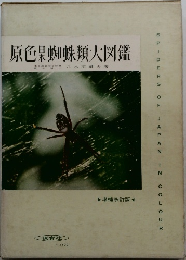 原色果蜘蛛類大図鑑