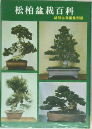 松柏盆栽百科