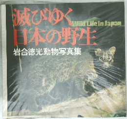 滅びゆく日本の野生