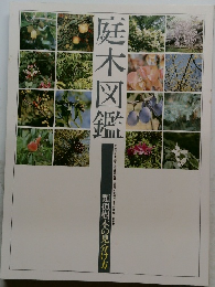 庭木図鑑　類似樹木の見分け方