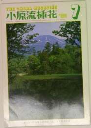 小原流插花　1981年7月号　