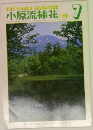 小原流插花　1981年7月号　