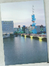 にいがた萬代橋 その１００年