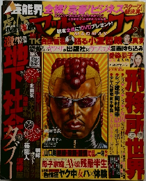 劇画マッドマックス　2009年2月号
