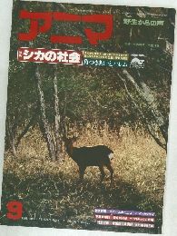 アニマ　9