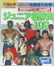 コング　ジュニア名勝負 100