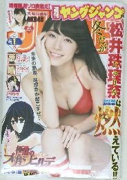 ヤングジャンプ　2014年1／1号