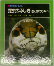 科学のアルバム  昆虫のふしぎ 色と形のひみつ