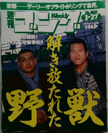 週刊ゴング 2000年1/27号 No.800