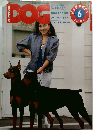 DOG Magazine　1984年6月号