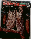 動物の世界　3