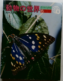 動物の世界　6