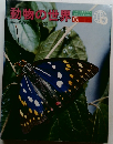 動物の世界　6