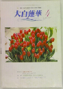 大白蓮華4　2000