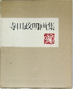 寺田政明画集