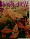 植物の世界　21