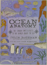OCEAN  ANATOMY