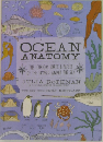 OCEAN  ANATOMY