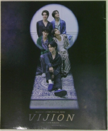 WayZenNi JAPAN OFFICIAL BOOK  VIJION