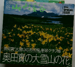 山と渓谷　1994年別巻