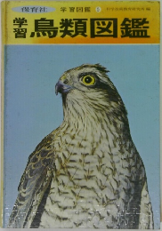 学習図鑑 5　鳥類図鑑