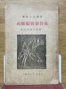 基督教新教縦断面　一名明治思想小史