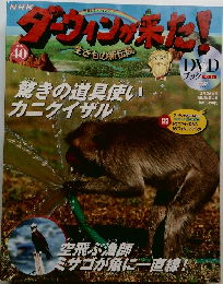 ダーウィンが来た！　No.40