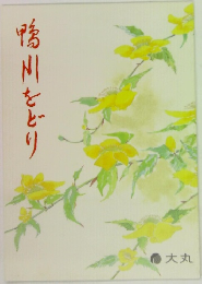 鴨川をとり