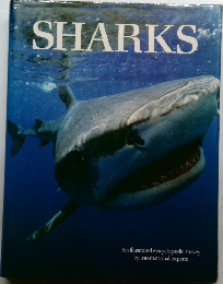 SHARKS