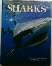 SHARKS