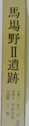 馬場野 2 遺跡
